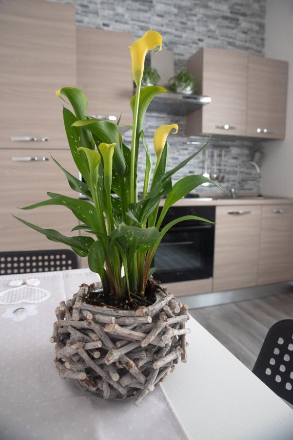 Casa Vacanze Da Gabriella 티볼리 외부 사진